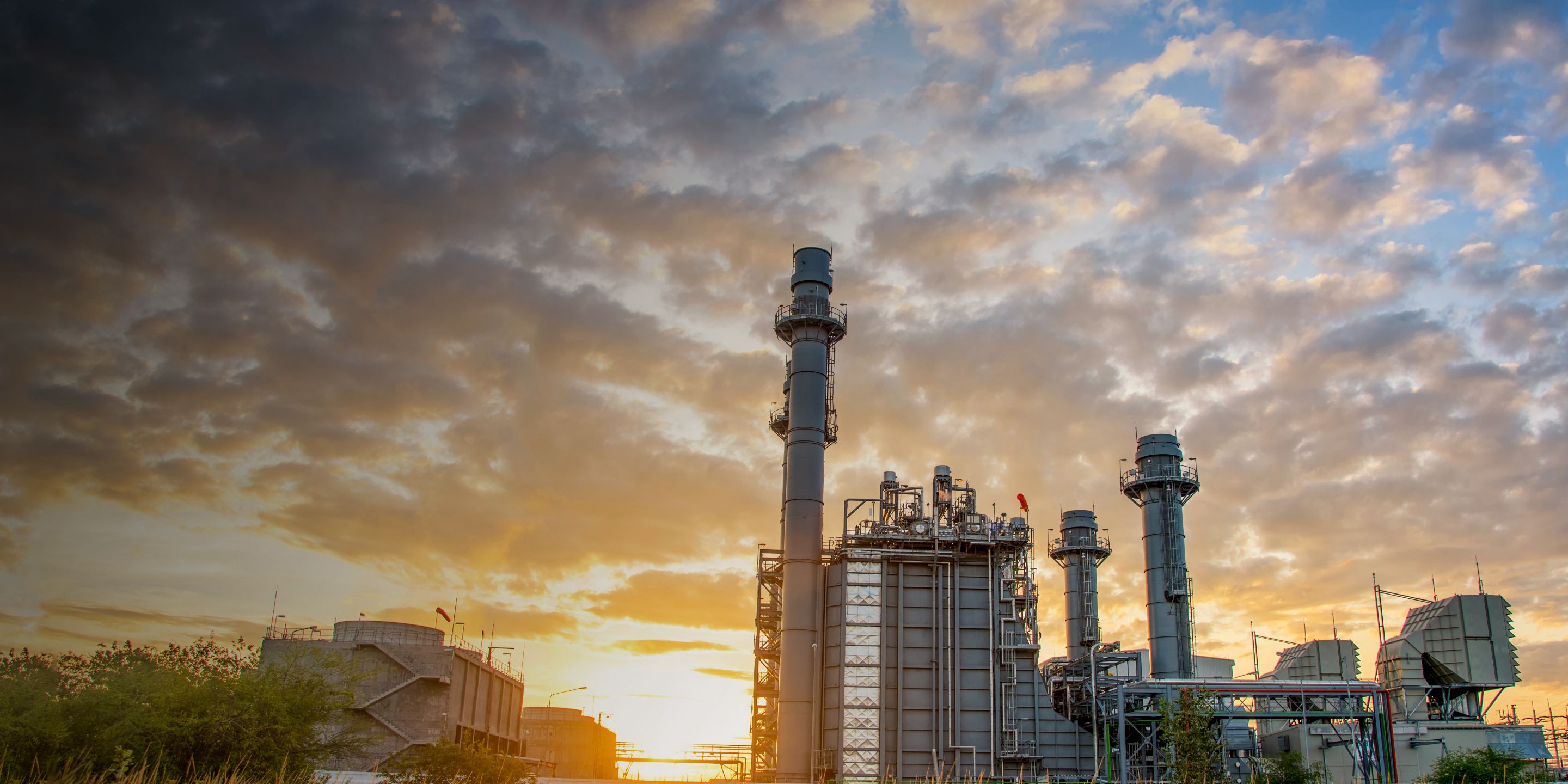 A path to carbon neutrality starts today