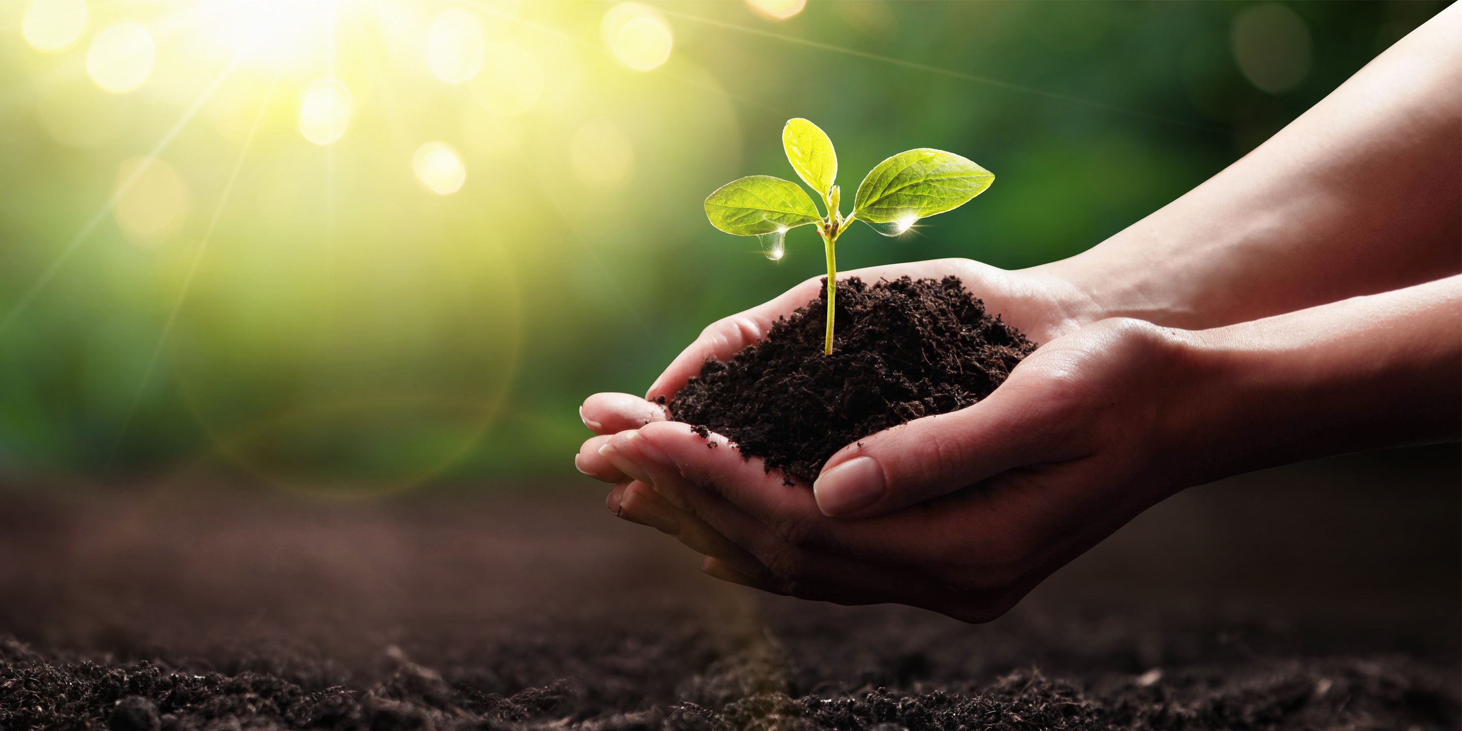 Hydrogen Control Systems