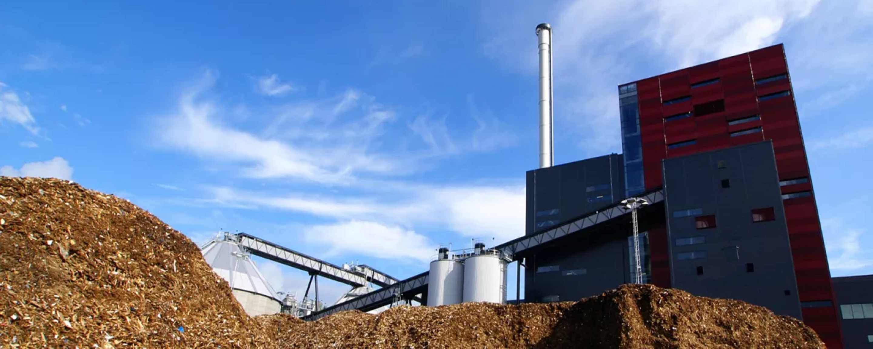 RTP Technology for Biomass Conversion 